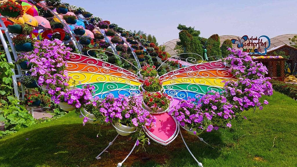 10 Reasons Why You Should Visit Butterfly Garden Dubai - Adventures-hub