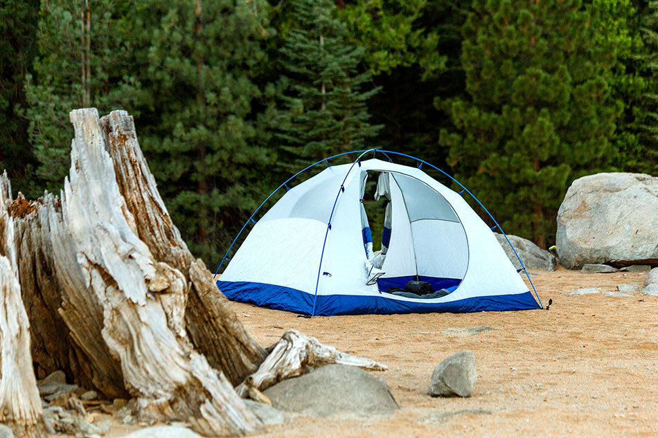 ALPS Mountaineering Lynx 4 dome tent pitched with its rainfly at a campsite