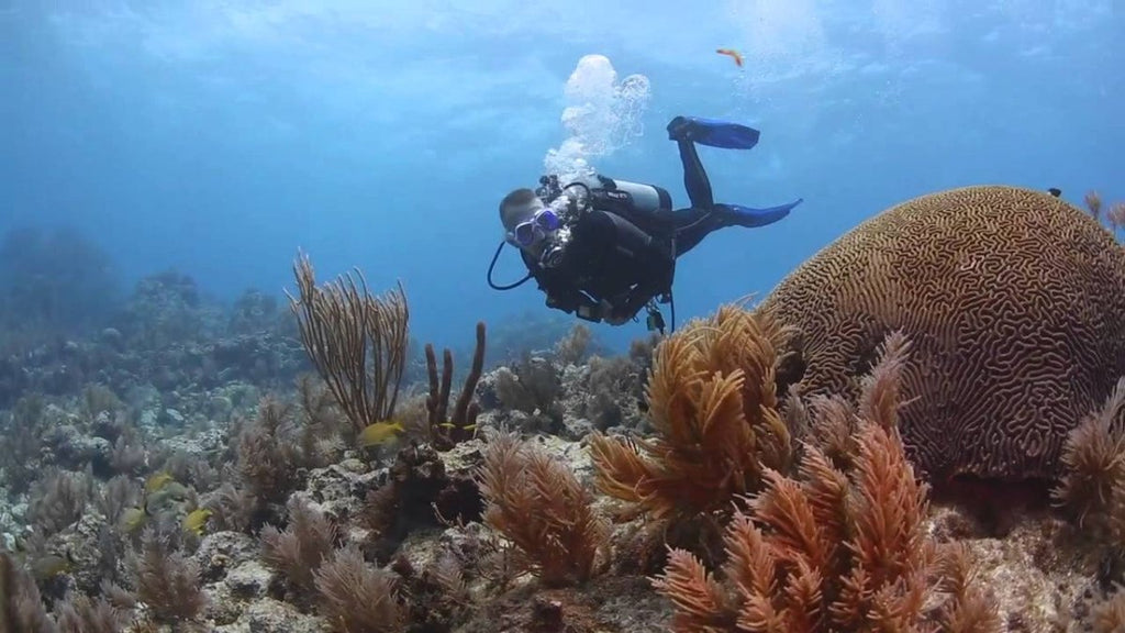 Mares Reef 3 mm full wetsuit for warm-water diving and snorkelling