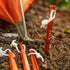 Coghlan's tent stake holding a tent guy line in the ground