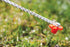 Coghlan's 3 mm utility cord used as a tent guy line