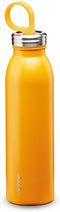 Aladdin Chilled Thermavac Stainless Steel Water Bottle 0.55L - Insulated Bottle Keeps Drinks Cold All Day