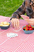 Family eating on a Coghlan's red check picnic tablecloth outdoors