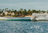 RONIX WAKEBOARDS 2026 - Parks - Modello
