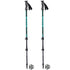 Masters TREKKING Poles Ranger GREEN/BLUE