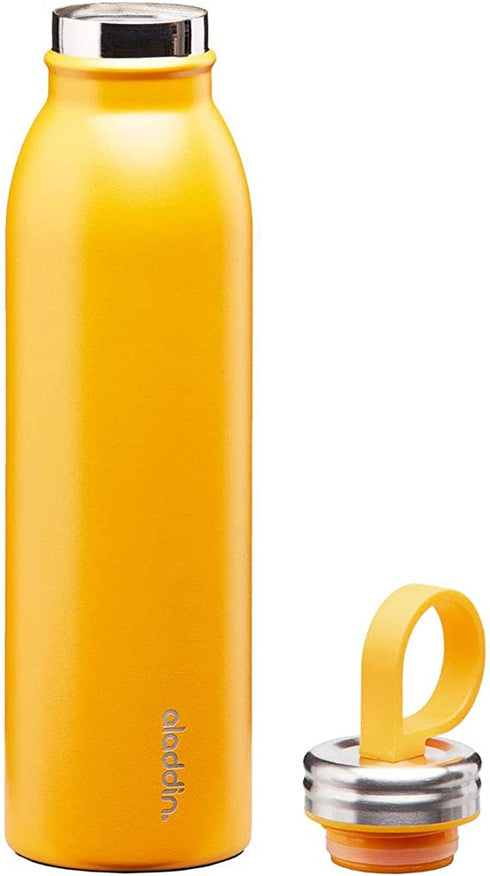 Aladdin Chilled Thermavac 0.55L POS Display Collateral - Cold Drink Focus, Promotional Graphics - Retail Display for Insulated Cold Drink Bottles