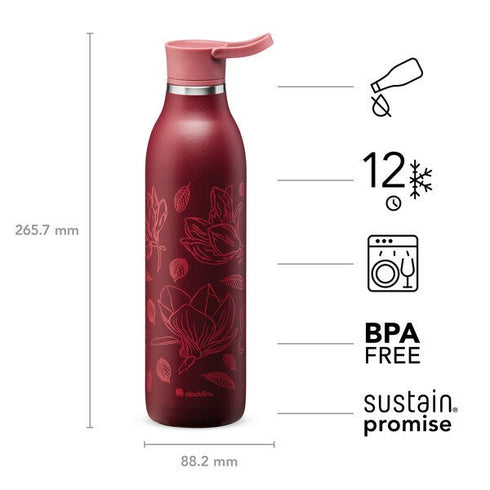 Aladdin City Loop Thermavac 0.6L Stainless Steel Water Bottle - Durable, Stylish Finish, Vacuum Insulated - Hydration Bottle for Urban Explorers