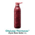 Aladdin City Loop Thermavac 0.6L Stainless Steel Water Bottle - Durable, Stylish Finish, Vacuum Insulated - Hydration Bottle for Urban Explorers