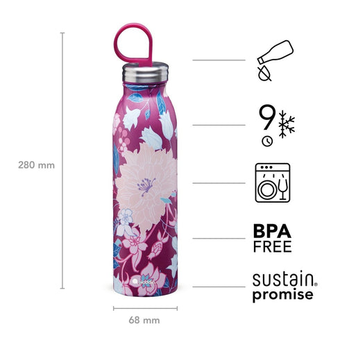 Aladdin Thermavac 0.55L Chilled Water Bottle - Vacuum Insulated, Keeps Drinks Cold All Day - Essential Hydration Bottle for Summer and Gym