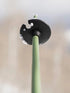 ARMADA SKI POLES - TRIAD