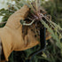 Barebones Dandelion Weeding Fork, Walnut Handle Hand Weeder with Heat-Treated Stainless Steel V Blade