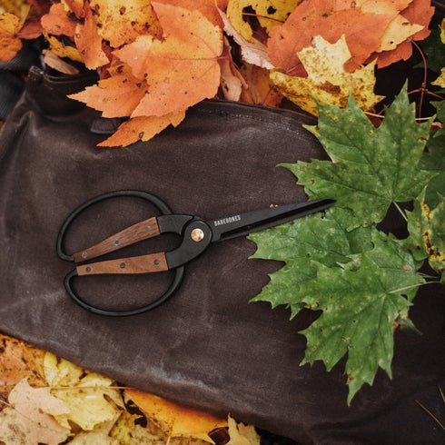 Barebones Garden Scissors Large, Heat-Treated Stainless Steel Harvest Shears with Walnut Handle and 4 Inch Blades