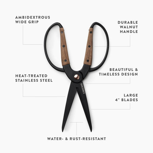 Barebones Garden Scissors Large, Heat-Treated Stainless Steel Harvest Shears with Walnut Handle and 4 Inch Blades