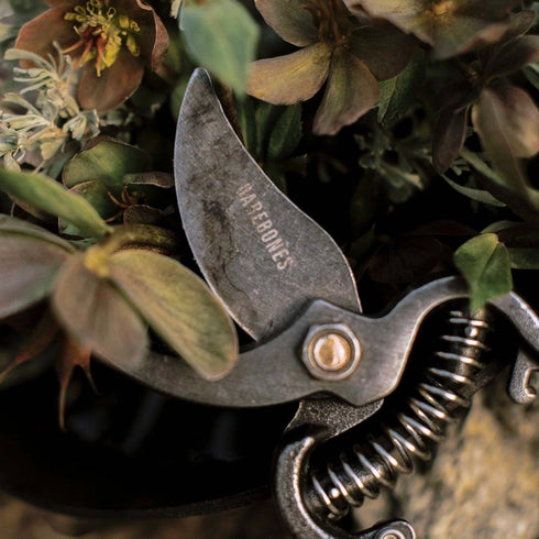 Barebones Pruner with Sheath, Japanese-Style Steel Garden Pruning Shears with Copper Accents and Belt Clip Holster