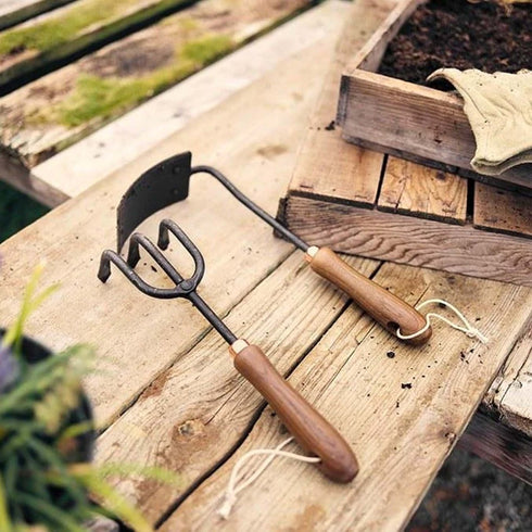 Barebones Square Hand Hoe, Stainless Steel Garden Hoe with Curved Walnut Handle for Trenching and Soil Prep