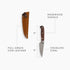 Barebones Wilderness Paring Knife, 4 Inch Full Tang AUS 8 Steel Knife with Rosewood Handle and Leather Sheath