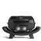 Burnhard WAYNE 2-Burner Gas Grill Series 2, Portable Tabletop BBQ with Cast Iron Grates and Cover