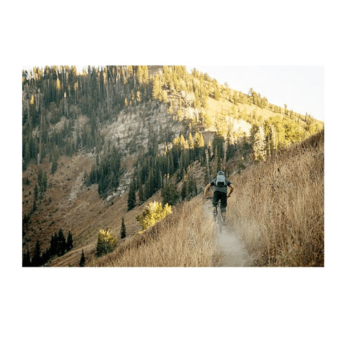 Camelbak M.U.L.E. Pro 14 100 Oz