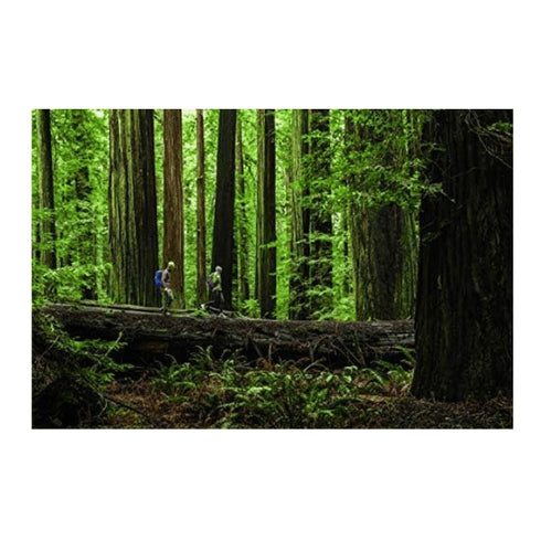 CamelBak Quick Grip Chill Handheld 21oz (2nd Edition) - Insulated and Ergonomic Design