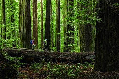 Camelbak Rain Cover S/M