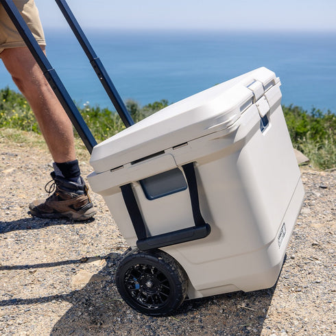 Coleman Pro 55QT Wheeled Cooler Box