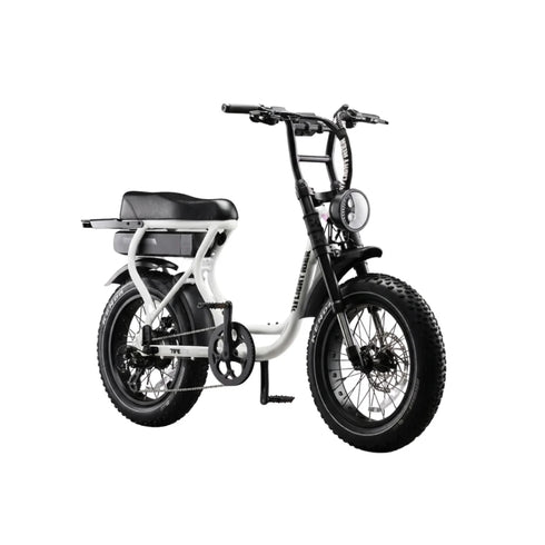 Flight Risk Electric Bike | FR303