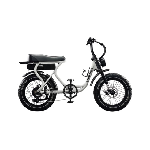 Flight Risk Electric Bike | FR303