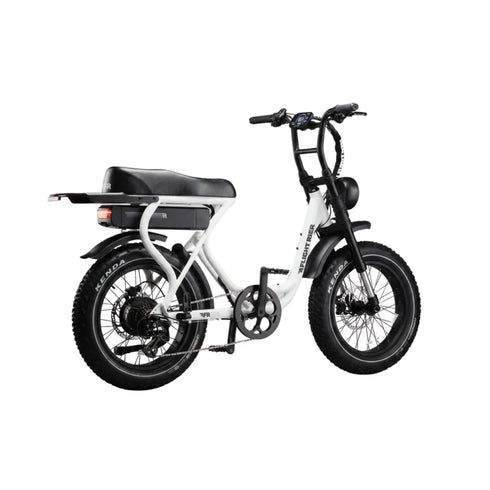 Flight Risk Electric Bike | FR303