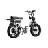 Flight Risk Electric Bike | FR303