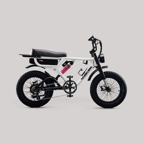 FLIGHT RISK FR555