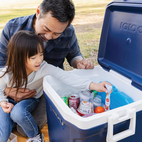 Igloo MaxCold Ice Extra Large Freeze Block, Reusable Ice Substitute for Large and Extra Large Coolers