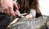 Leatherman Raptor Response Box SPO