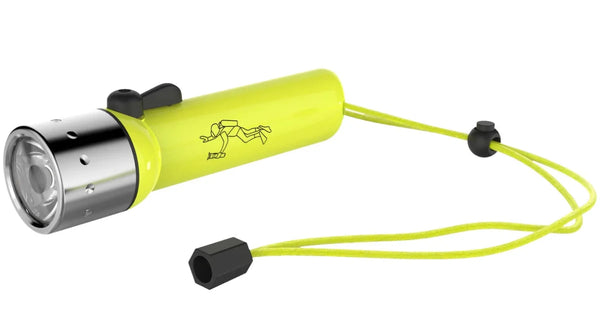 Ledlenser D14.2 Flashlight Gift Box