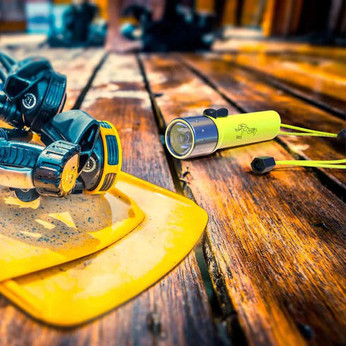 Ledlenser D14.2 Flashlight Gift Box