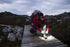 Ledlenser MH10 Headlamp 600 Lumens - Bright and Adjustable Headlamp