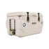 Lifetime Cooler Pumice Stone