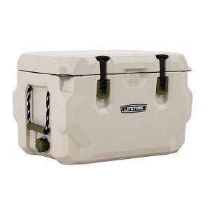 Lifetime Cooler Pumice Stone