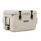 Lifetime Cooler Pumice Stone