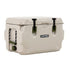 Lifetime Cooler Pumice Stone