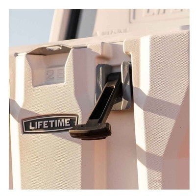 Lifetime Cooler Pumice Stone