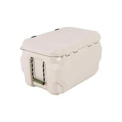 Lifetime Cooler Pumice Stone