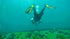 Mares Fins Volo Race