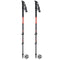 Masters Trekking Poles – Eiger CALU