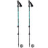 Masters TREKKING Poles Ranger GREEN/BLUE