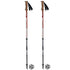Masters TREKKING Poles Scout