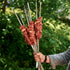Monolith Classic Rotisserie Set, Kamado Spit Roast Kit with Meat Forks, Skewers and Mains, Battery or USB Motor