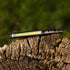 NEBO Lil Larry Work Light, 250 Lumen COB Pocket Light with Red Flash and Magnetic Base, AAA Batteries Included