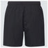 Oakley Clear Lake 18 Volley Shorts Black