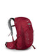Osprey Talon 22 Backpack