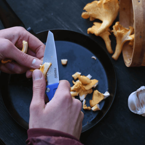 Primus FieldChef Pocket Knife for Outdoor Use - Compact and Versatile Knife